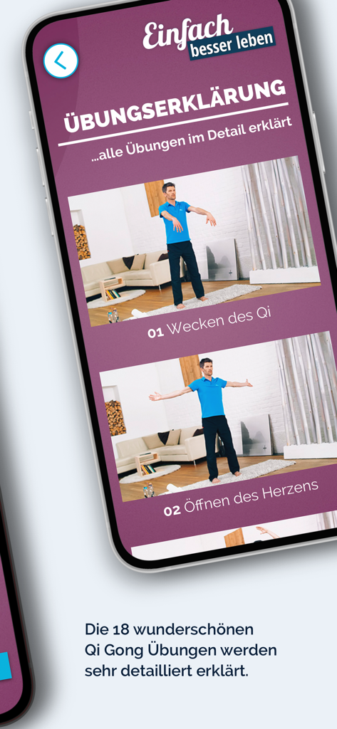 Captura de pantalla de la aplicación Qi Gong Kurs II mostrando una lista de explicaciones detalladas de videos de ejercicios.