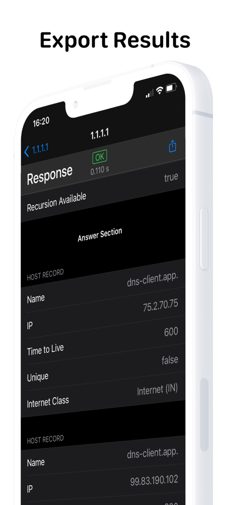 DNS Client - Interfaccia mobile dell'app DNS Client che mostra dettagli sulla risposta DNS e record host.