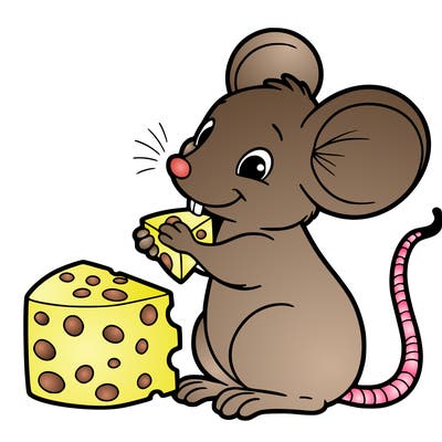 mouse eating cheese