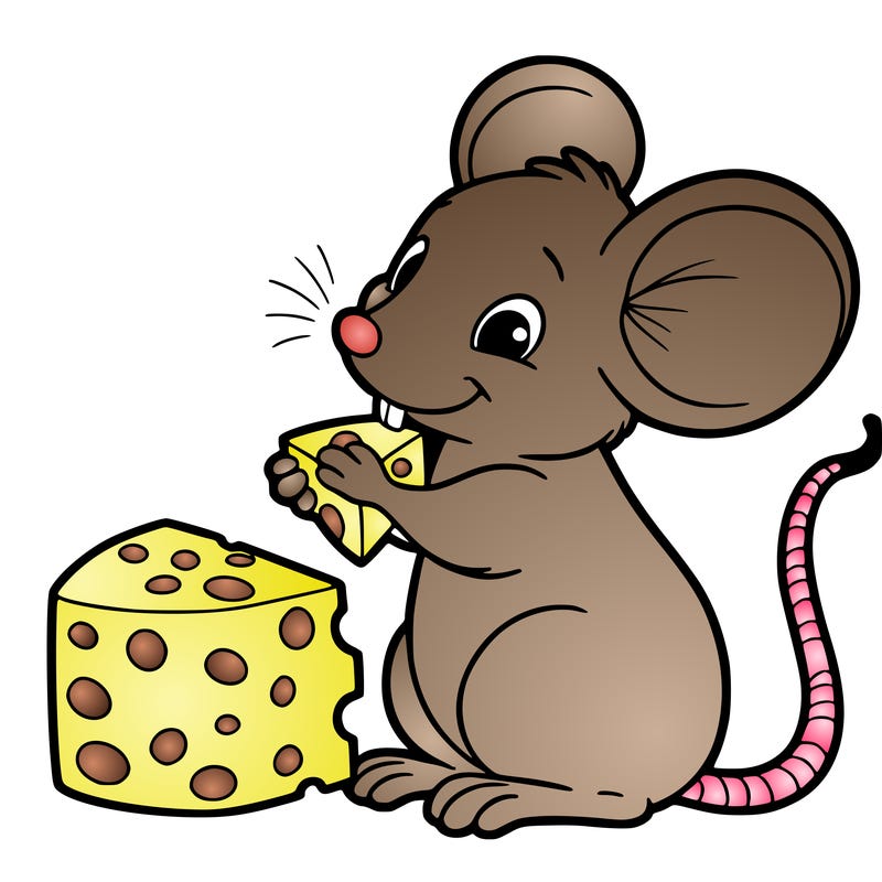 mouse eating cheese