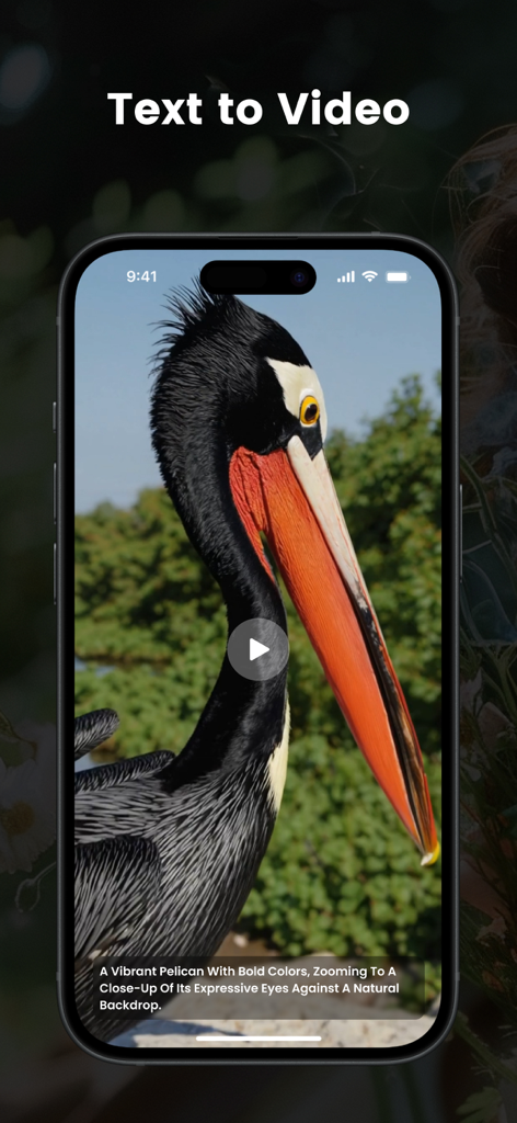 Smartphone screen showing the Text to Video feature in Video AI with a generated video of a vibrant pelican