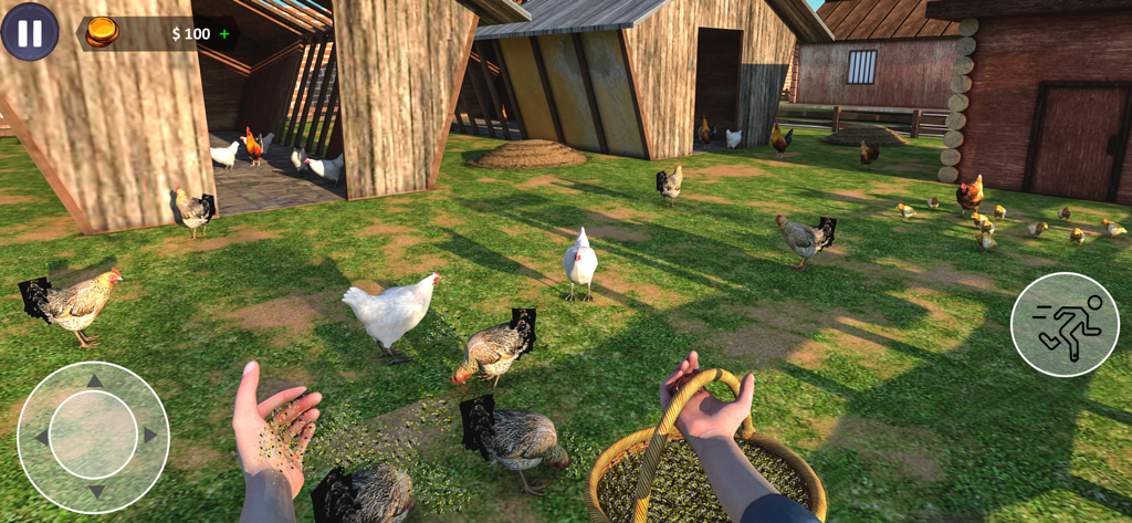 American Farming Simulator - Perspectiva en primera persona de un jugador alimentando pollos en un rancho