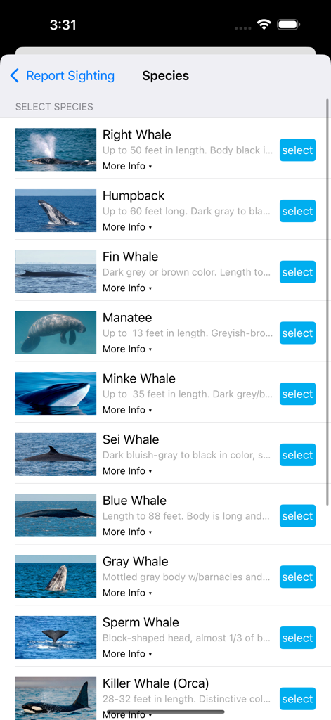 Whale Alert - A list of whale species with photos and descriptions for reporting sightings in the Whale Alert app.