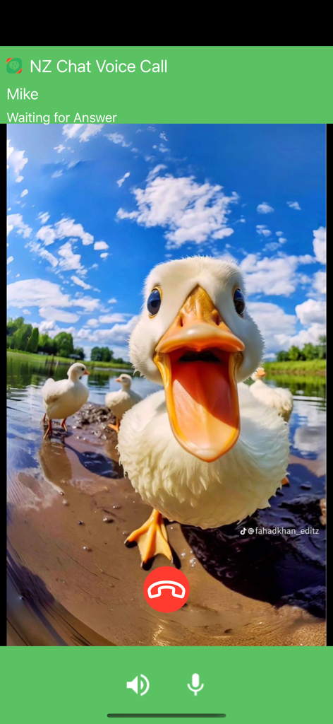 NZ Chat - Interfaz de la app NZ Chat mostrando una llamada de voz saliente a Mike con un fondo divertido de patitos.