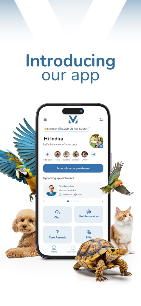 modernvet - Interface of the modernvet pet care app showcasing appointment booking and medical records.