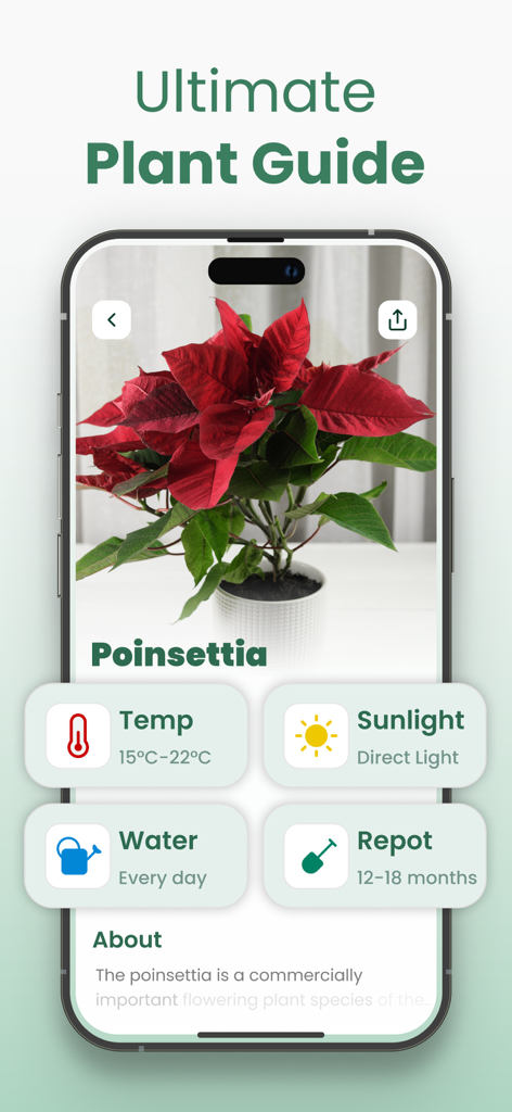 Plantify app interface showing detailed care instructions for a Poinsettia plant including temperature and watering needs
