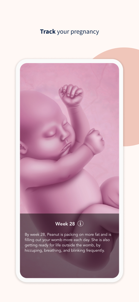 A 3D baby illustration in the Ovia pregnancy tracker app at week 28.