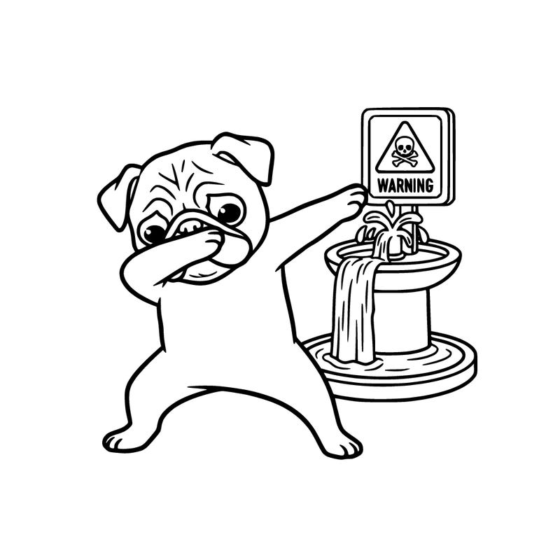 pug a warning water fountain and dabing