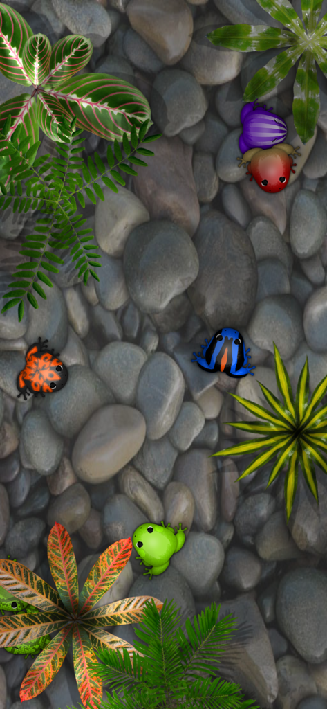 Ranas coloridas descansando sobre piedras de río en un hábitat profusamente decorado