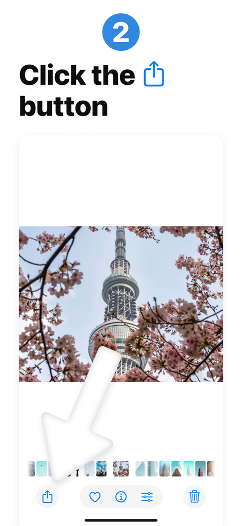 Reverse Image Search: Eye Lens - Step 2 tutorial for Reverse Image Search Eye Lens showing how to click the share button in the iOS Photos app