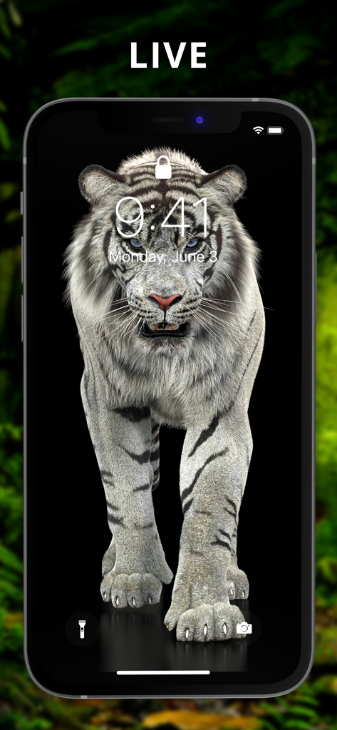 The Best 3D Live Wallpaper - Un realista fondo de pantalla animado 3D de un tigre blanco mostrado en la pantalla de bloqueo de un iPhone.