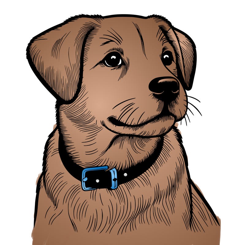 dog realistic