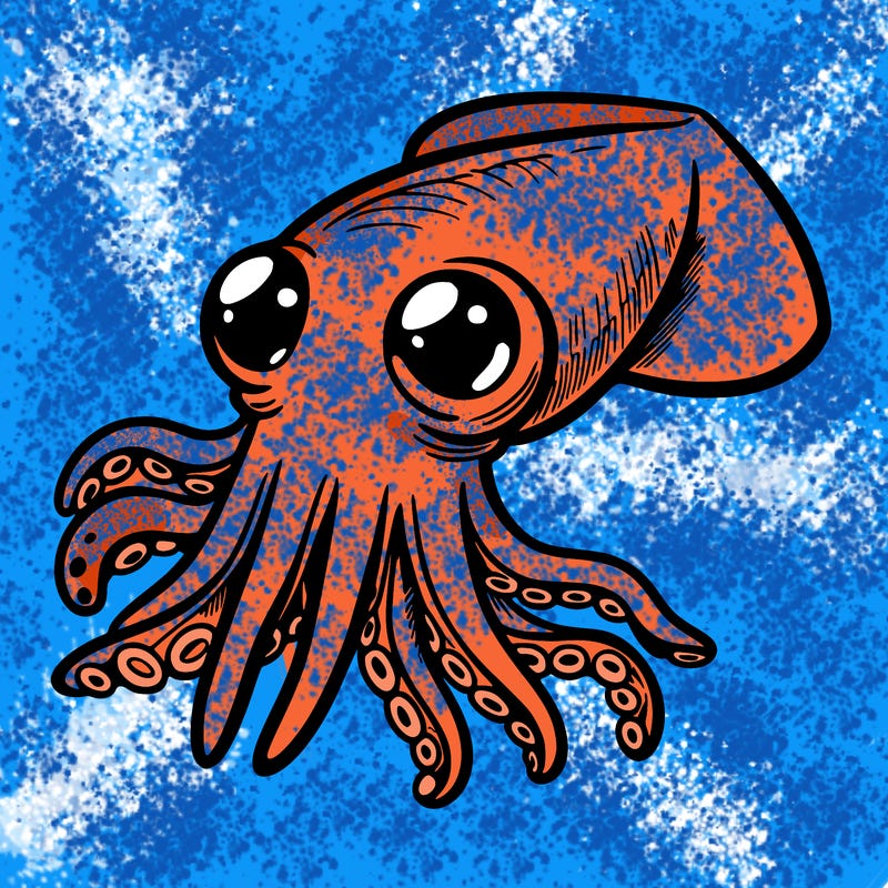 squid