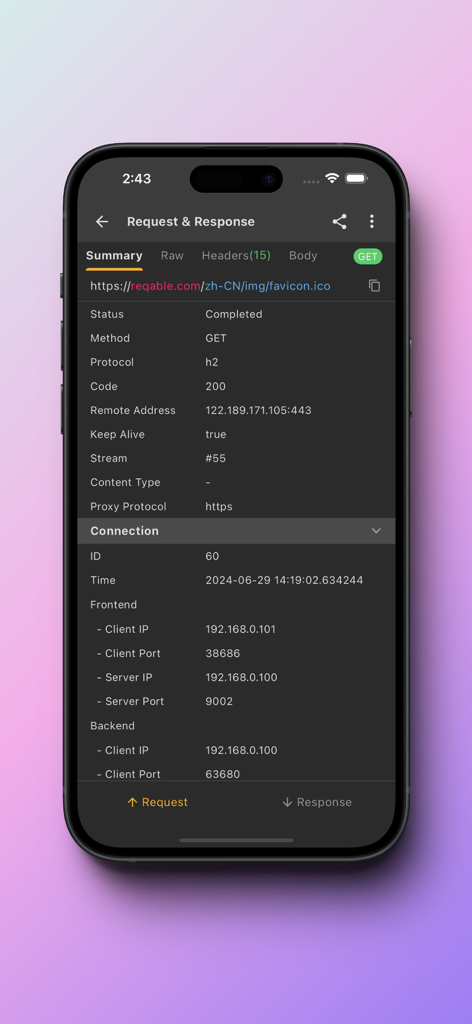 Reqable - Interfaccia dell'app mobile Reqable che mostra un riepilogo dettagliato di una richiesta HTTP e i metadati della sua connessione.