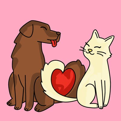 animals_22