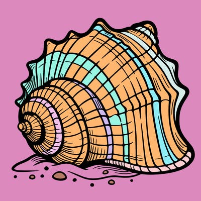 sea shell
