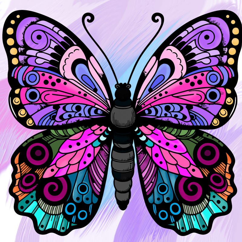 detailed big butterfly
