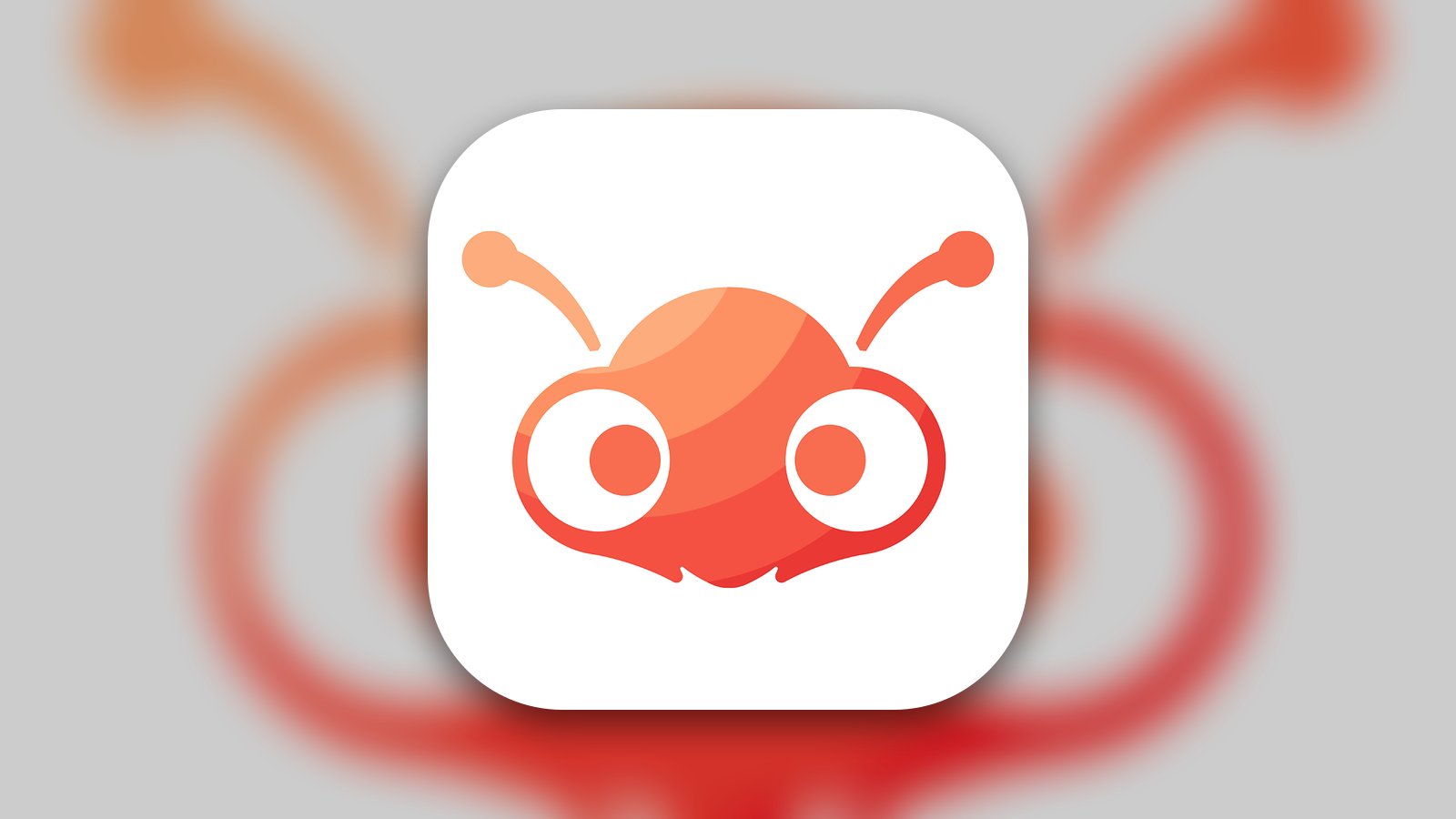 Ant Queue - Business App | MWM