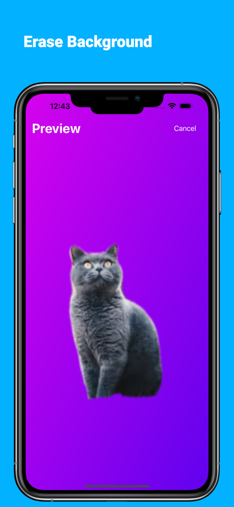 Background Transparent - Tela de aplicativo para iPhone mostrando um gato cinza com o fundo apagado para criação de adesivo