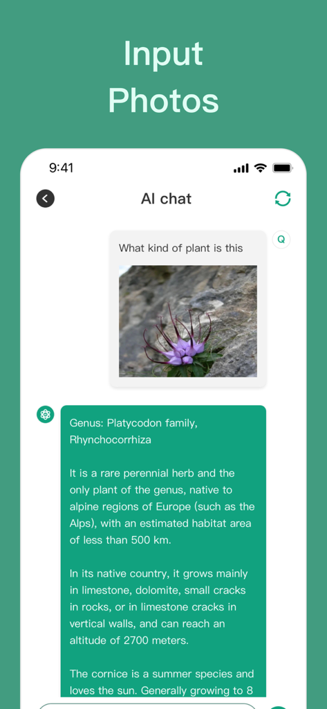 AI Chatbot Assistant - AI Bot - Interface montrant AI Bot identifiant une plante à partir d'une photo téléchargée à l'aide de la reconnaissance d'images