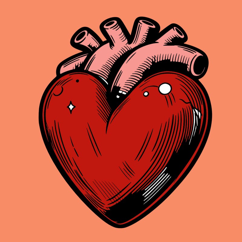 realistic heart
