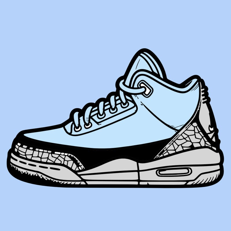 jorden 3 the shoe