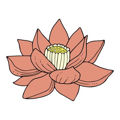 flowers_08