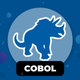 Learn COBOL Programming
