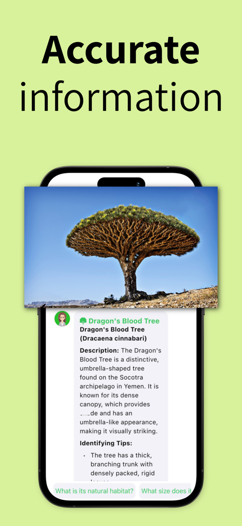 Tree Identifier: Wood & Leaf ‎ - Tree Identifierアプリがドラゴンの血の木の詳細なプロファイルと識別を表示