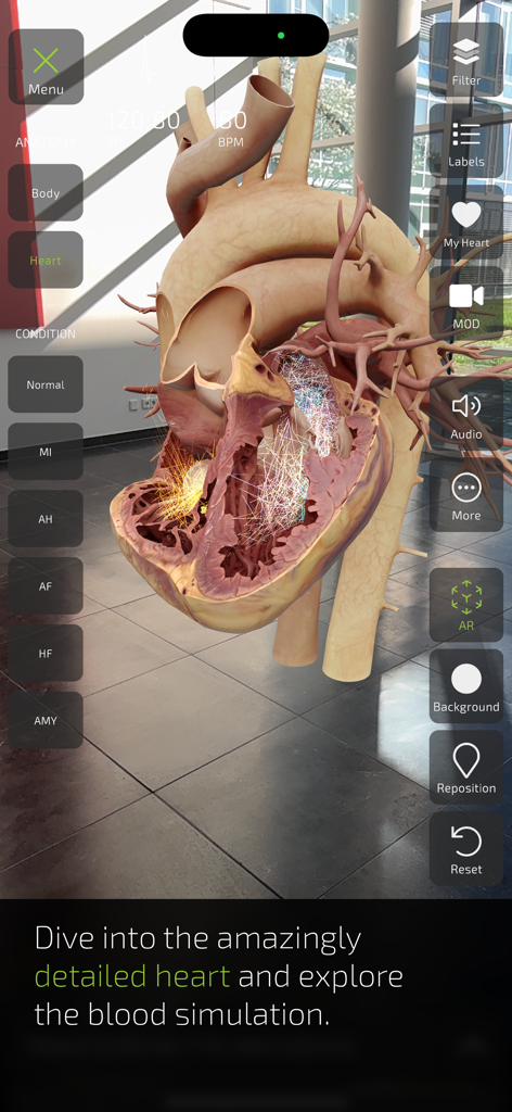 INSIGHT HEART - A detailed 3D augmented reality cross section of a human heart with internal anatomy and electrical activity simulation