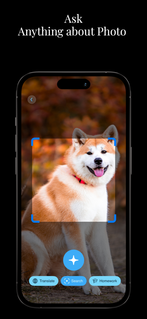 Identify Anything Lens.AI Scan - Interface de l'application Lens.AI Identify Anything scannant une photo d'un chien pour fournir des informations.