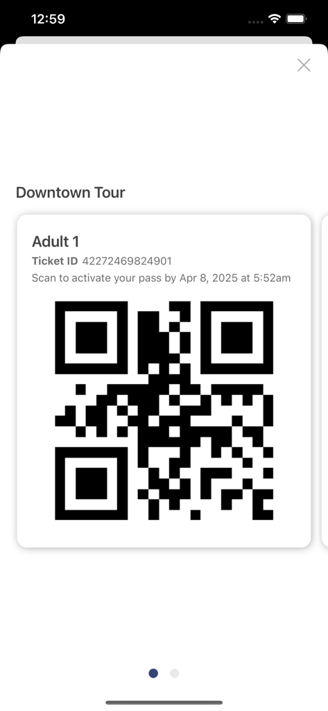 TopView Sightseeing - Digital QR code ticket for a NYC Downtown Tour on the TopView Sightseeing app