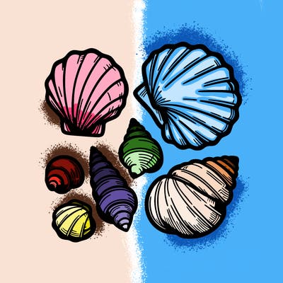 shells