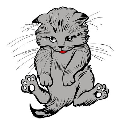animals_20