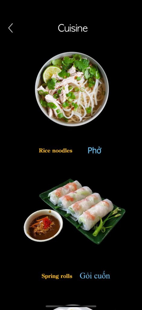 フォー、米麺、ゴイクン（生春巻き）とその英語名を表示するベトナム語のアルファベットと単語アプリの料理セクション。