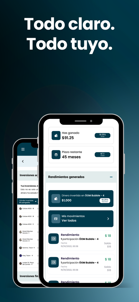 Monific - Mobile screen of Monific app displaying real estate investment returns and portfolio performance