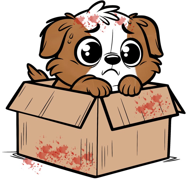 a little dog who is really scared in a box