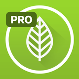 Garden Plate Pro - App Icon