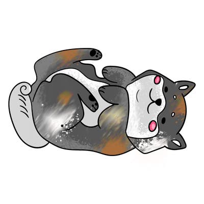 animals_30