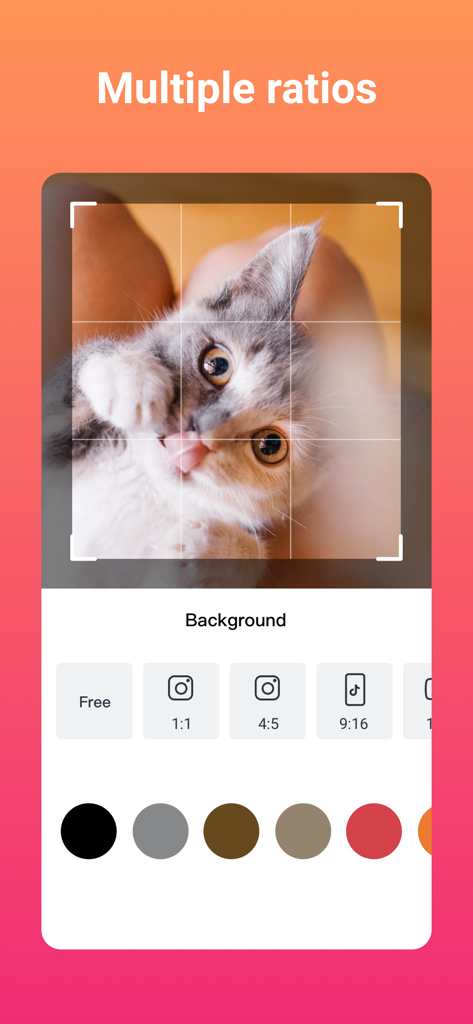 Slideshow Maker (SlidePlus) - SlidePlus app interface showing multiple aspect ratio options for social media video creation