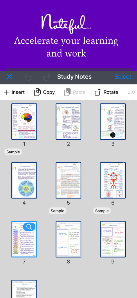 Vista a griglia di appunti di anatomia digitali nell'interfaccia dell'app Noteful