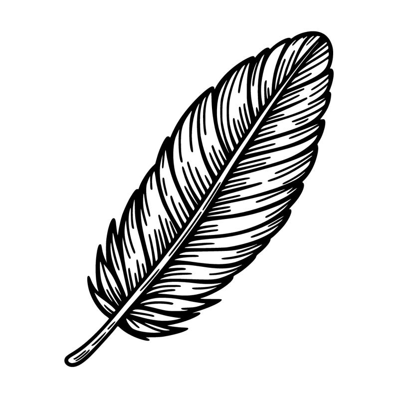 feather