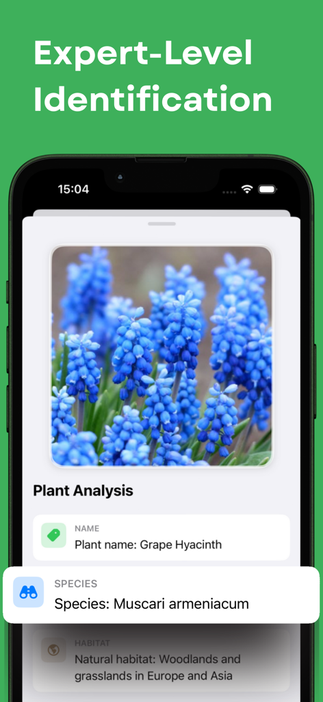 Plant Identifier & Flower Id - Pantalla de smartphone mostrando un análisis de planta de flores azules de Jacinto de Uva con información de especie y hábitat