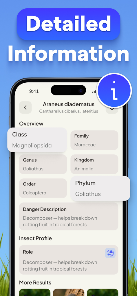 Identifier - Insect IQ - Detailed insect identification profile screen in the Insect IQ app showing taxonomic data and safety information
