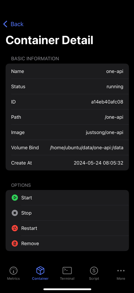 Oberfläche der ServerX-App, die detaillierte Docker-Container-Informationen und Verwaltungssteuerelemente wie Start und Stopp anzeigt.