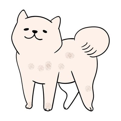animals_29