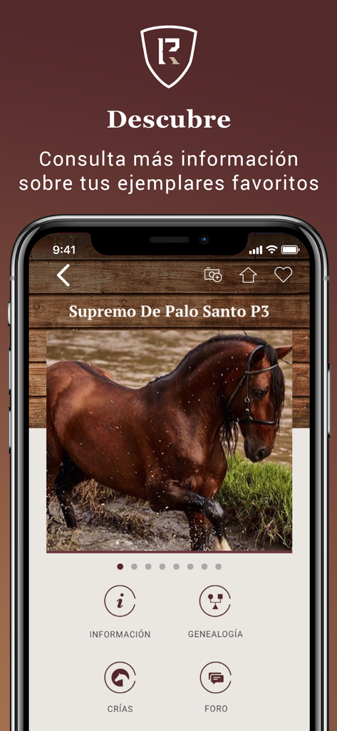 Andares 앱에서 콜롬비아 크리오요 말 프로필을 보여주는 모바일 앱 스크린샷