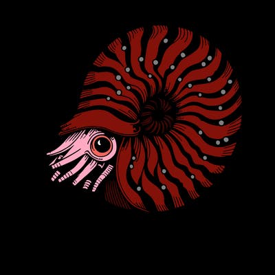 nautilus