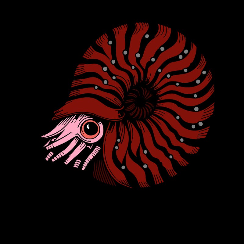 nautilus