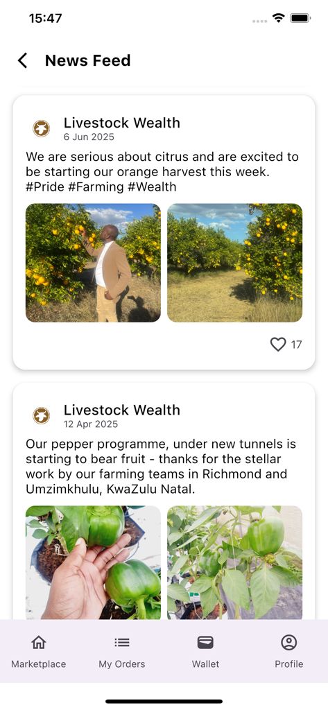 Livestock Wealth - Livestock Wealth app news feed displaying farming updates for orange and pepper investments